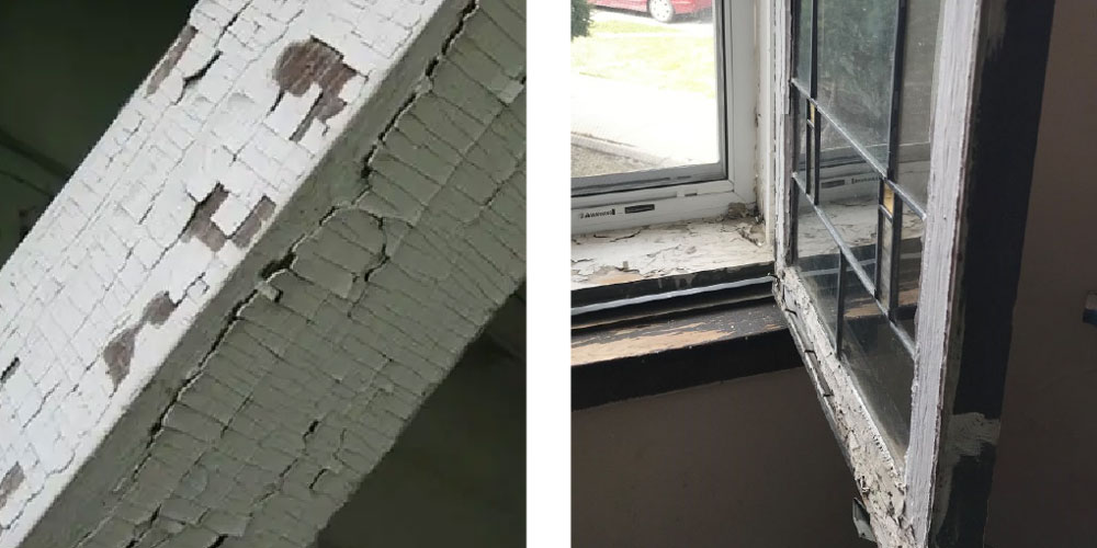 Lead Paint that is flaking off the surface. 