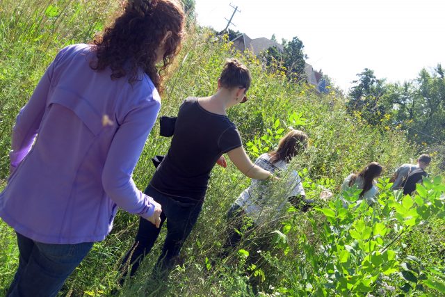Elevate Energy Walks in the Prairie