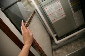 iStock_000004376771Medium[1]