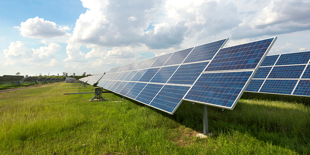 solar panels in grass 