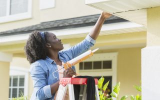 Pest Management: An Additional Benefit of Energy Efficiency Improvements